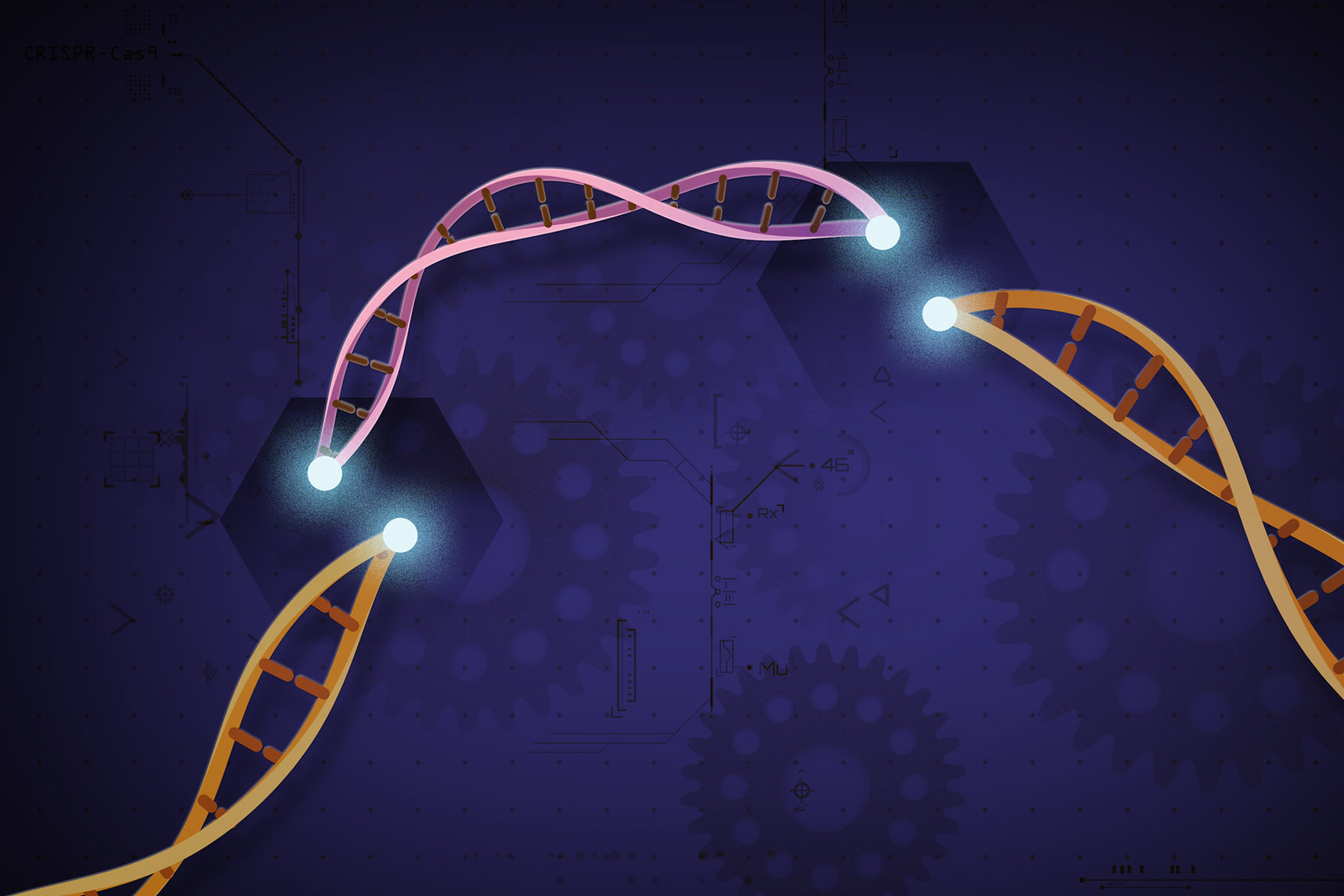 CRISPR Cas9