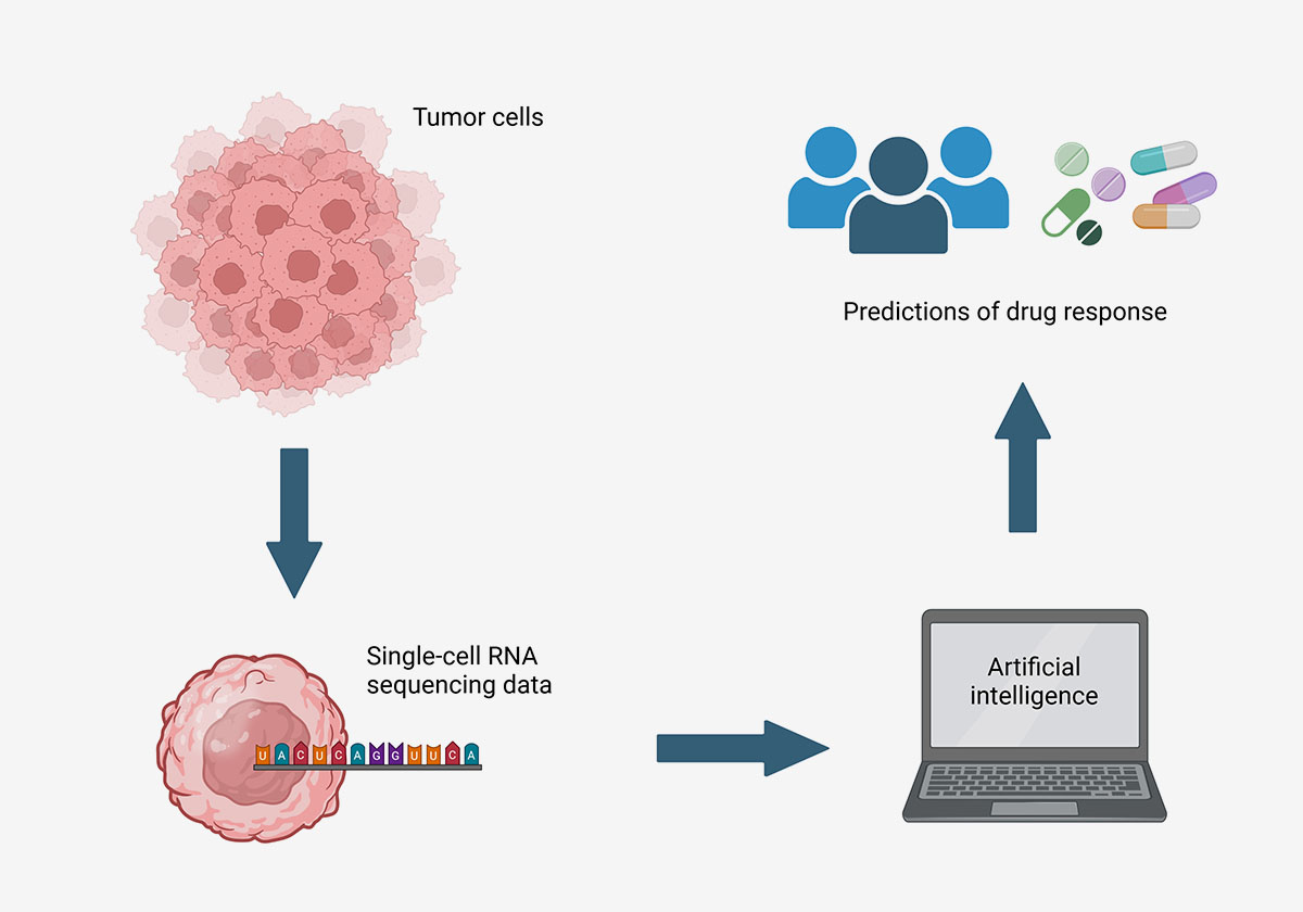 flow chart of tumor > sequencing > AI analysis > drug/patient match