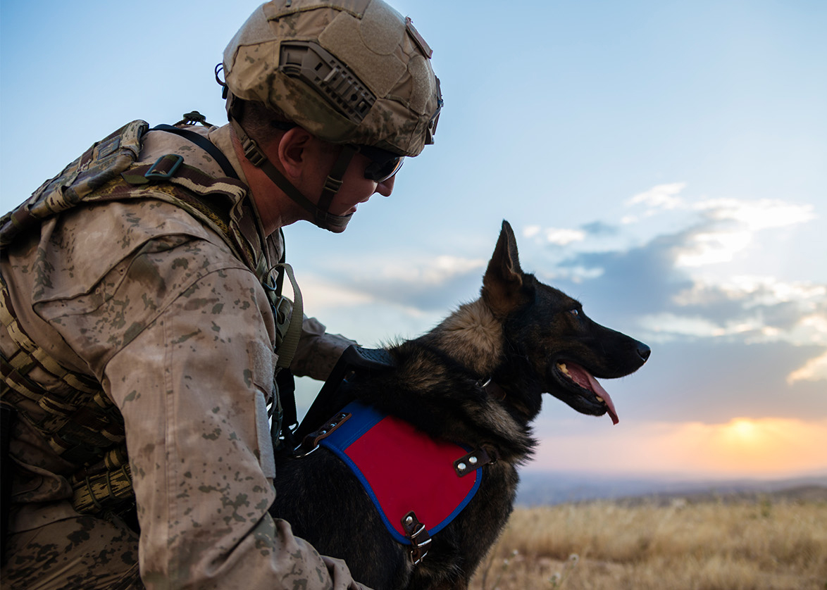 Image of a soldier with a service dog looking over a field