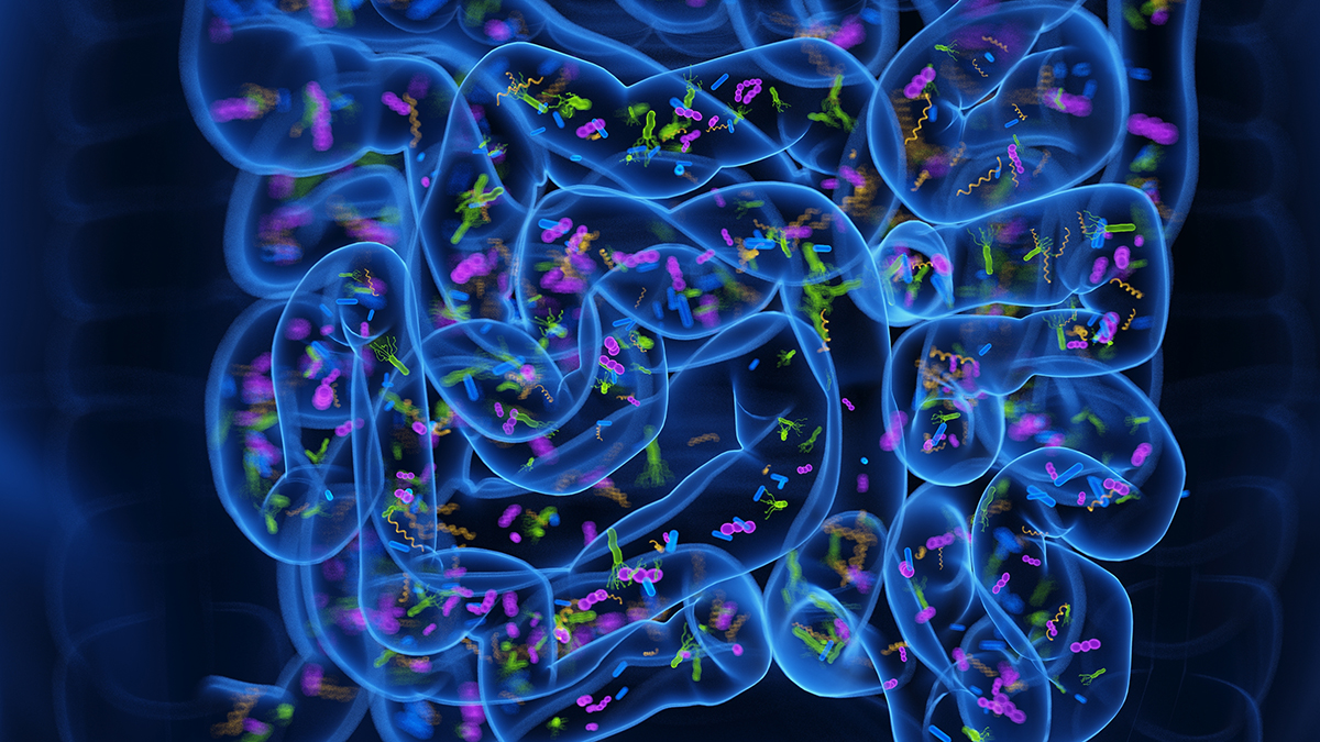 3D illustration of bacteria in the intestines