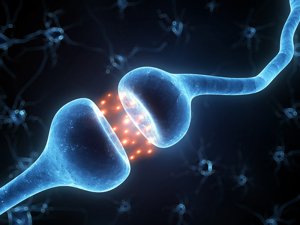 3D illustration of synapse and neuron cells sending electrical chemical signals 3D illustration of synapse and neuron cells sending electrical chemical signals3D illustration of synapse and neuron cells sending electrical chemical signals