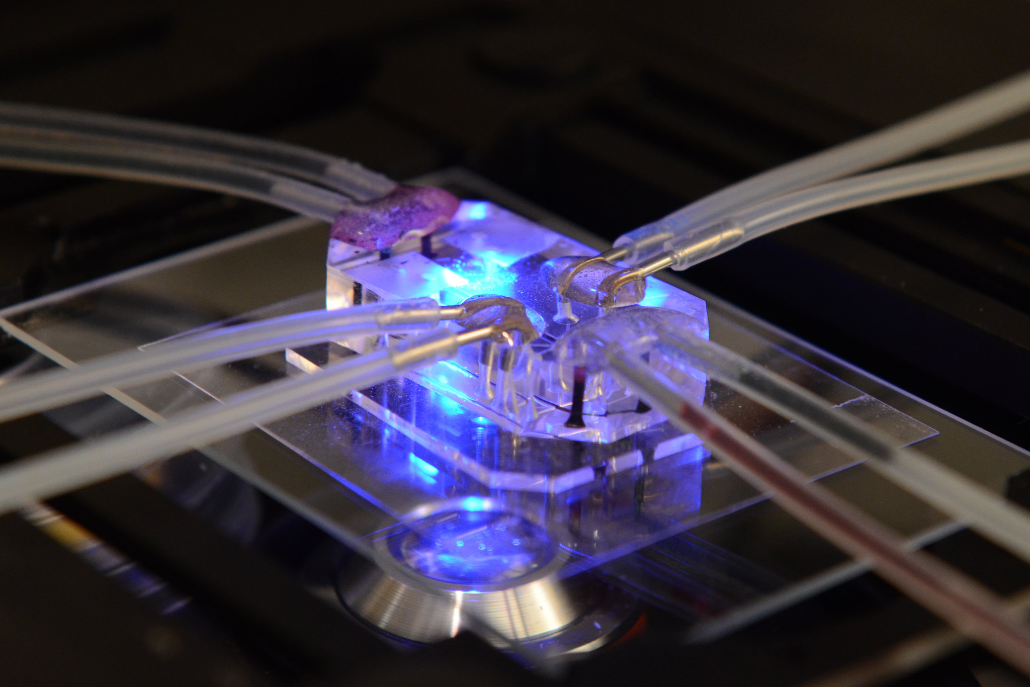 Lung on a Chip Lung on a Chip