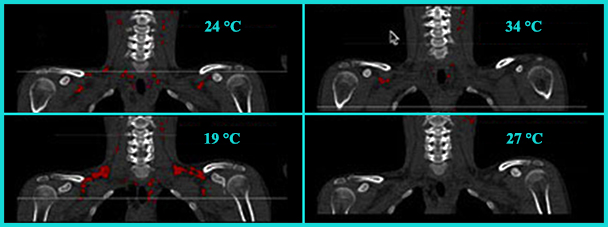 stagetestdomain3.nih.gov