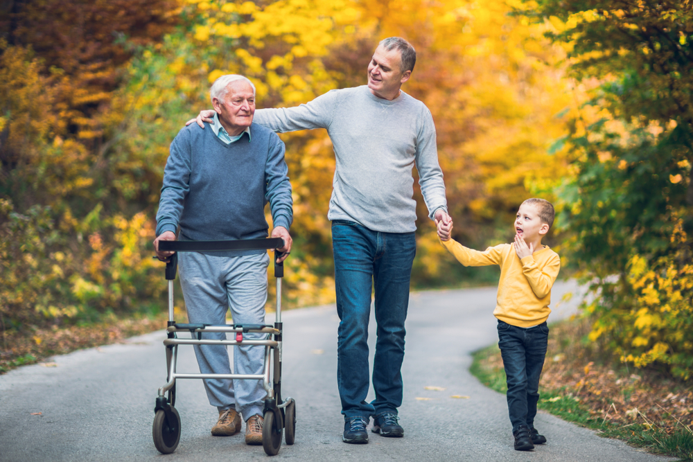 Elderly father with adult son and grandson out for a walk in the park.