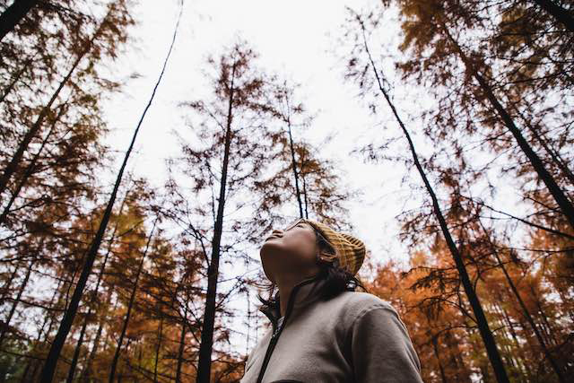 Woman looking up into the sky above the tree tops of a cypress forest