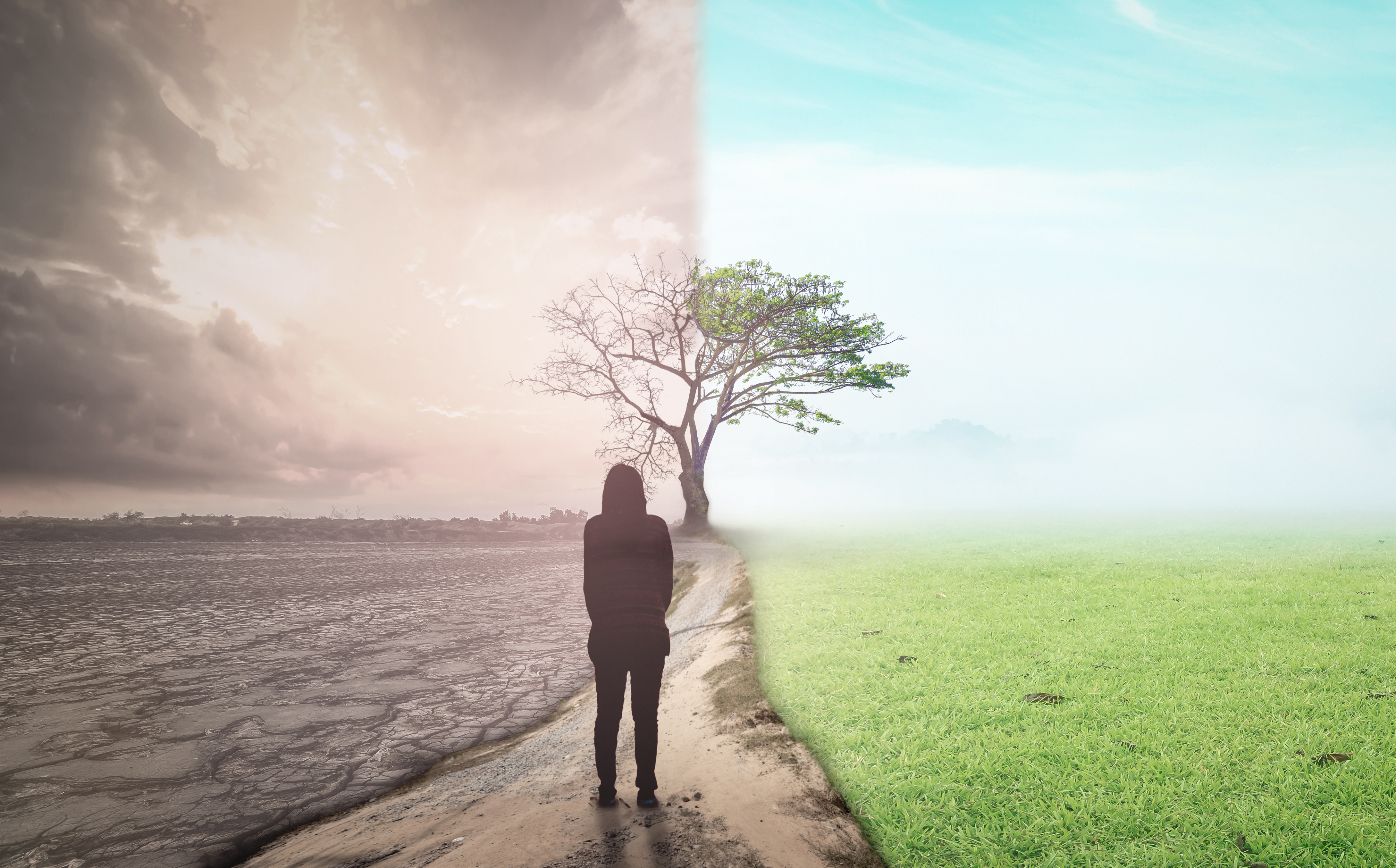 Woman standing on a road between a bleak, desolate area and a lush, green area.