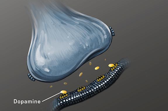 Drug Use Disorder Treatment Neurotransmitter releasing dopamine