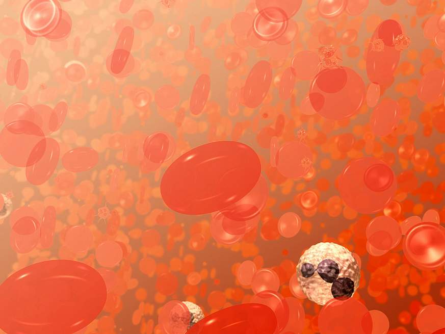 Red Blood Cells Illustration