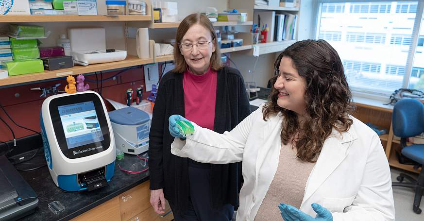 Image of researchers Image of researchers.