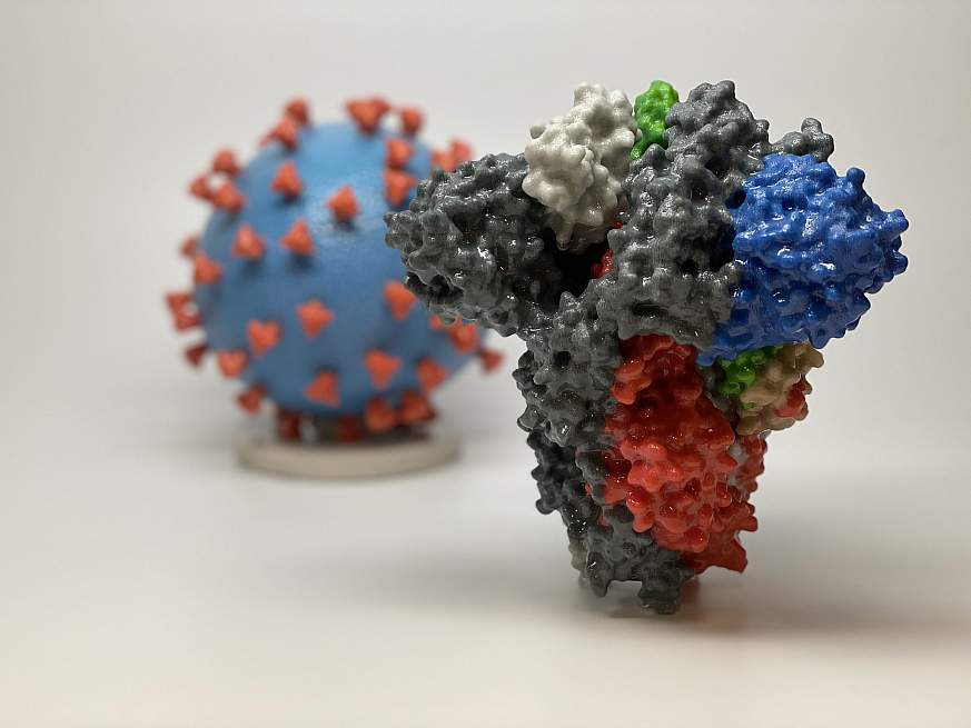Novel Coronavirus SARS-CoV-2 Spike Protein Novel Coronavirus SARS-CoV-2 Spike Protein