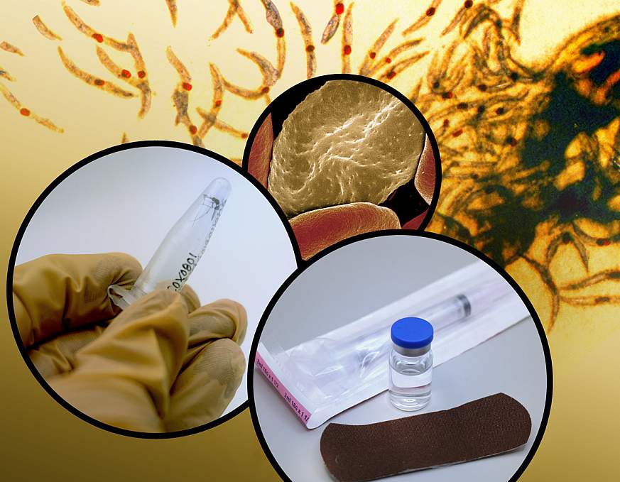 Background image of malaria parasites with foreground photo montage showing infected red blood cell, mosquito, and vaccine vial Background image of malaria parasites with foreground photo montage showing infected red blood cell, mosquito, and vaccine vial