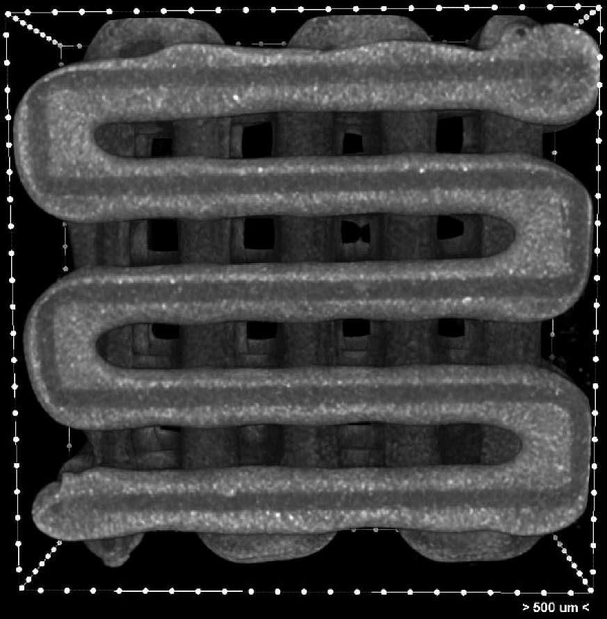 3D-printed scaffold 3D-printed scaffold