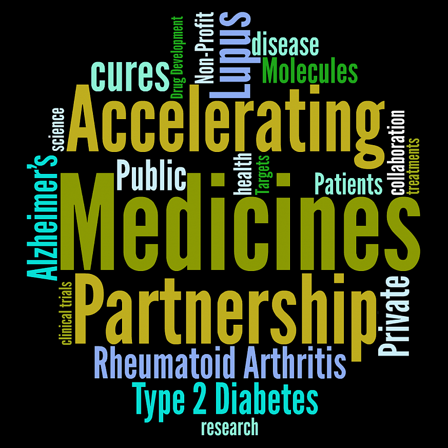 AMP Tag Cloud Tag cloud of terms related to the Accelerating Medicines Partnership