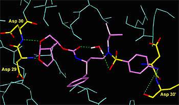 Darunavir molecule bound to HIV protease Darunavir molecule bound to HIV protease