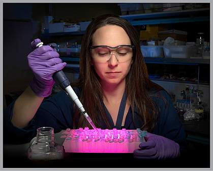 Photo of female scientist using pipette to transfer liquid samples to small containers in a tray