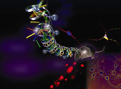 Image of a broken helix spiraling up from a mouse's head Image of a broken helix spiraling up from a mouse's head