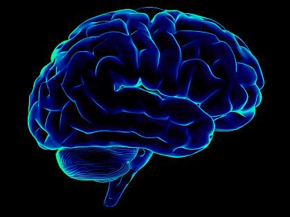 Side view of blue, stylized human brain on black background Side view of blue, stylized human brain on black background