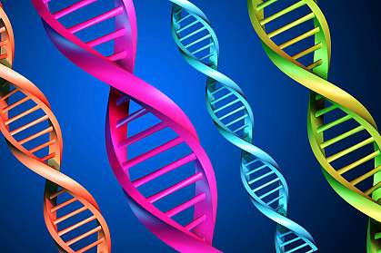 Illustration of several DNA strands Illustration of several DNA strands
