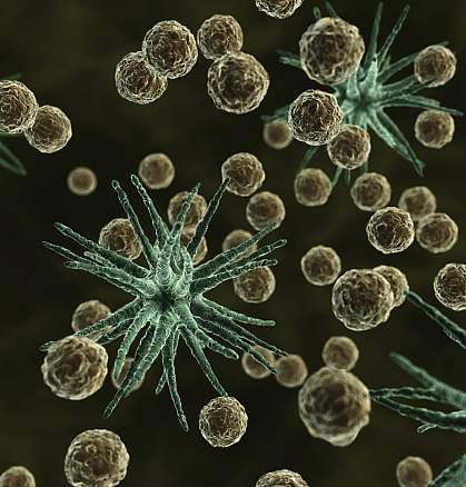 Computer rendered image of microscopic allergens Computer rendered image of microscopic allergens