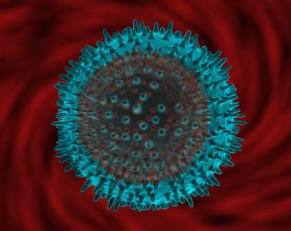 Computer rendering of a flu virus Computer rendering of a flu virus