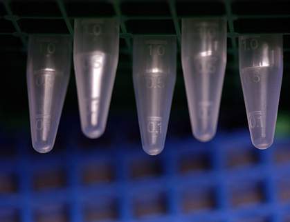 Photo of micro test tubes Photo of micro test tubes