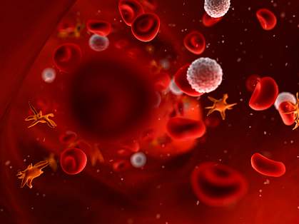 Artist's rendering of cells streaming through a blood vessel Artist's rendering of cells streaming through a blood vessel