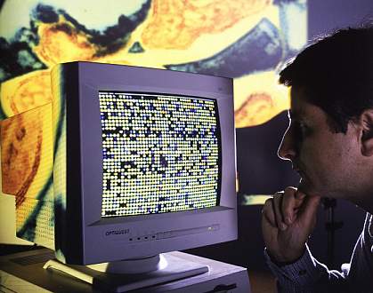 Photo of scientist examining computer monitor Photo of scientist examining computer monitor