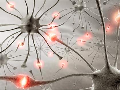 Three-dimensional rendering of neurons connecting to one another Three-dimensional rendering of neurons connecting to one another