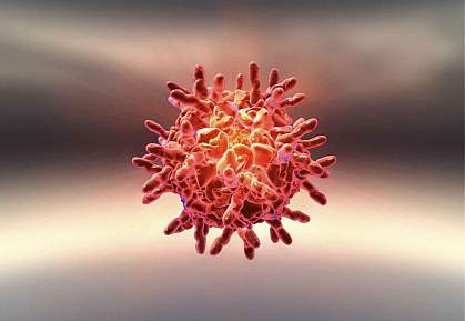 Illustration of the human rhinovirus Illustration of the human rhinovirus