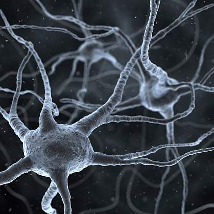 illustration of neurons illustration of neurons
