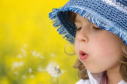 Photo of a girl blowing on a dandelion Photo of a girl blowing on a dandelion