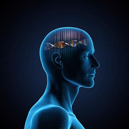 Illustration of a head with a DNA strand in place of the brain Illustration of a head with a DNA strand in place of the brain