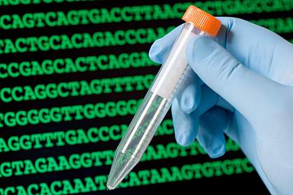 Image of a gloved hand holding a test tube Image of a gloved hand holding a test tube