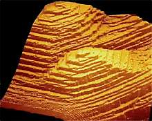 Image of a growing L-cystine crystal Image of a growing L-cystine crystal