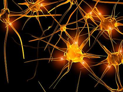 Illustration of nerve cells Illustration of nerve cells