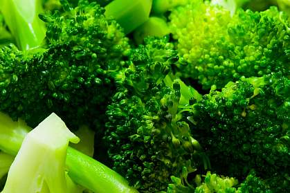 Photo of broccoli Photo of broccoli
