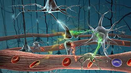 Illustration of a colorful network of neurons Illustration of a colorful network of neurons