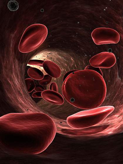 Illustration of red blood cells flowing through a blood vessel Illustration of red blood cells flowing through a blood vessel