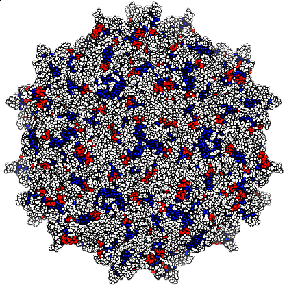 Illustration of a spherical virus Illustration of a spherical virus
