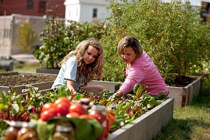 Women in a vegetable garden.