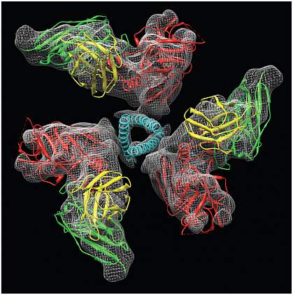 HIV envelope protein HIV envelope protein.