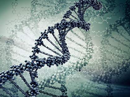 DNA strands. DNA strands.