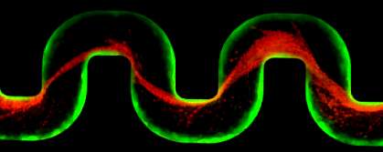 Photo of a bent tube with glowing green walls and a continuous red streamer bridging the spaces between bends. Photo of a bent tube with glowing green walls and a continuous red streamer bridging the spaces between bends.