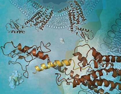 Chemical structure Chemical structure