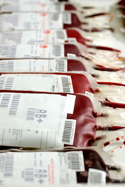 Blood transfusion bags Blood transfusion bags.