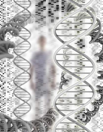 DNA sequence and helix models, with a man in the background DNA sequence and helix models, with a man in the background.