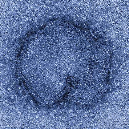 Avian flu virus Avian flu virus