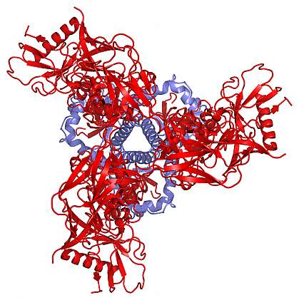 HIV molecule HIV molecule