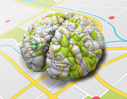 Illustration of a brain sitting on, and wrapped with, a road map.