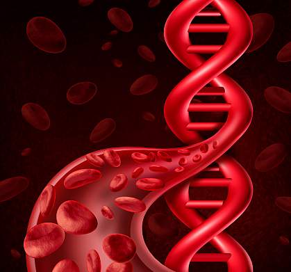 Illustration of DNA, blood cells, and a blood vessel Illustration of DNA, blood cells, and a blood vessel.